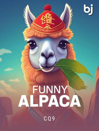 Funny Alpacapng